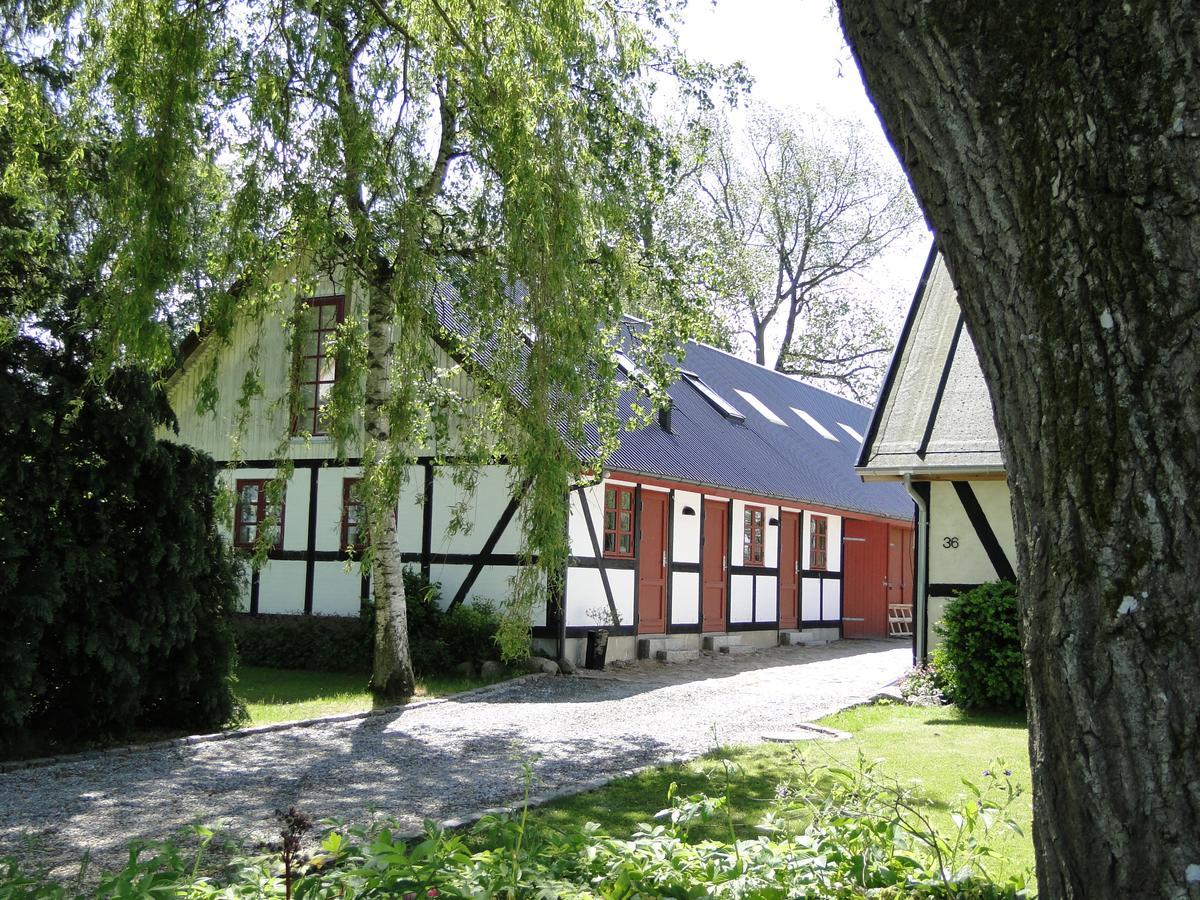 Dyssegaard B&B Skallerup Exterior foto